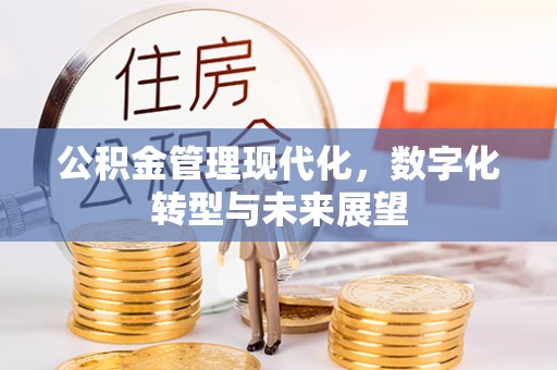 昭阳公积金管理现代化，数字化转型与未来展望