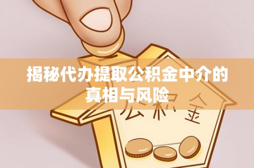 昭阳揭秘代办提取公积金中介的真相与风险