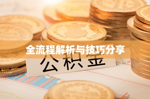 昭阳全流程解析与技巧分享