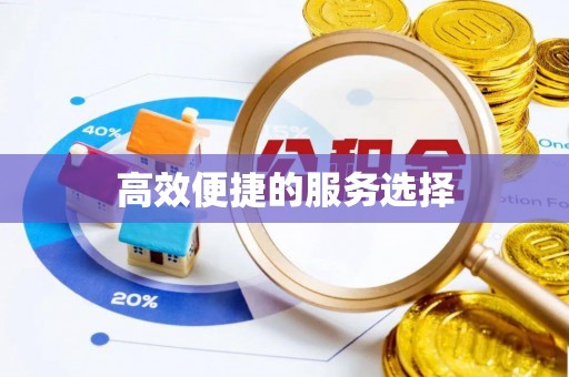 昭阳高效便捷的服务选择